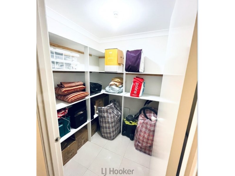 19 Cockatiel Street, Toronto NSW 2283