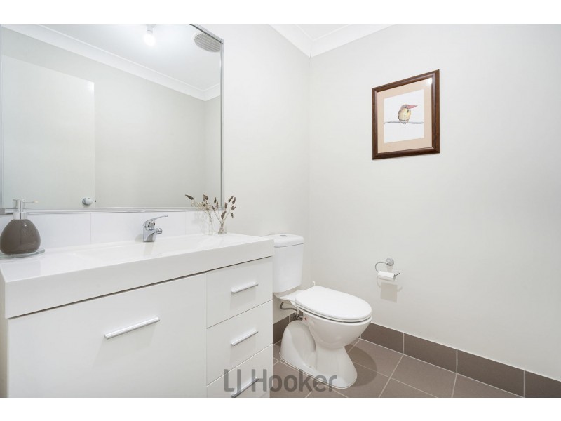 19 Cockatiel Street, Toronto NSW 2283