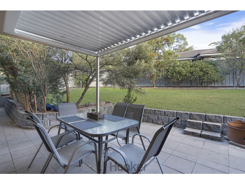 19 Cockatiel Street, Toronto NSW 2283