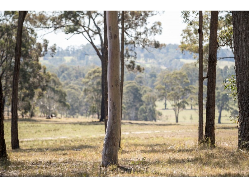 Level 122/425 Swan Lane, Quorrobolong NSW 2325