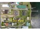 109 Brighton Avenue, Toronto NSW 2283