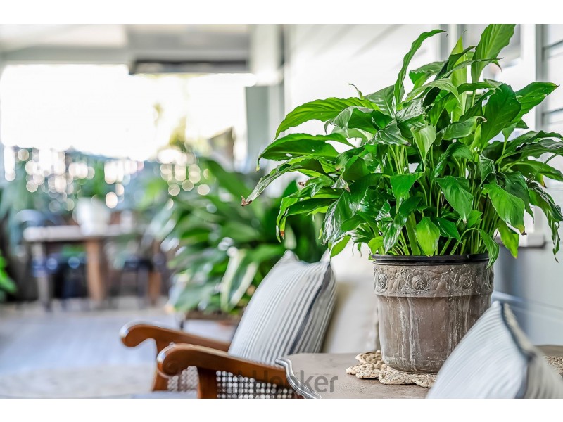 23 Sixth Street, Boolaroo NSW 2284