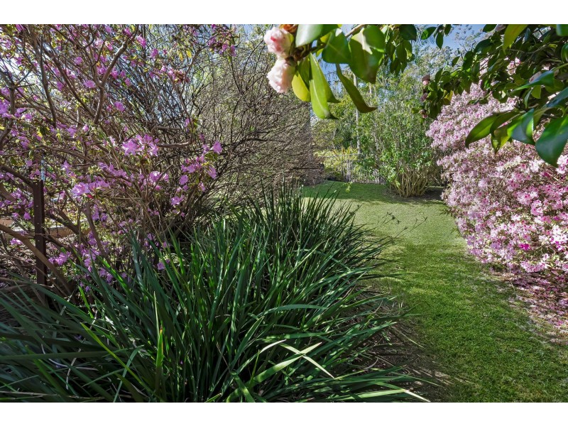 29 Sealand Road, Fishing Point NSW 2283