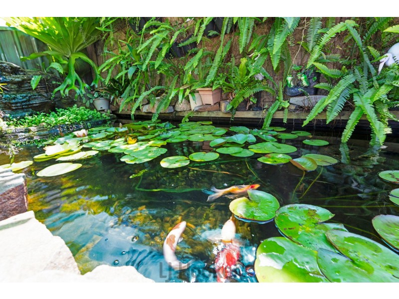 40 Sunlight Parade, Fishing Point NSW 2283