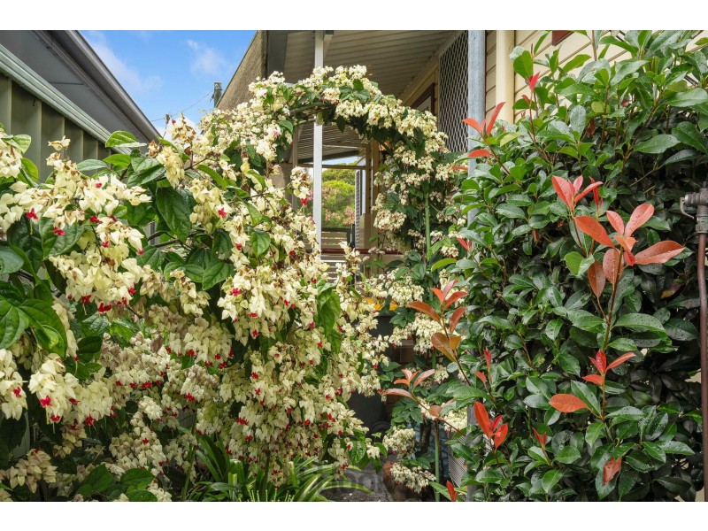 29 William Street, Toronto NSW 2283