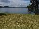 112 Dobell Drive, Wangi Wangi NSW 2267