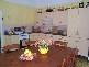 35 Thorne Street, Toronto NSW 2283
