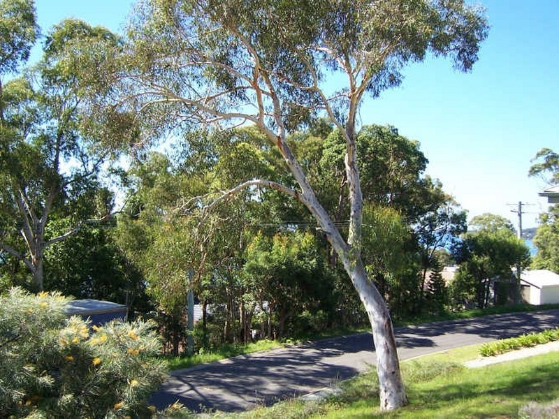 Buttaba NSW 2283