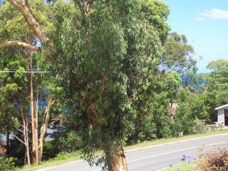 Buttaba NSW 2283