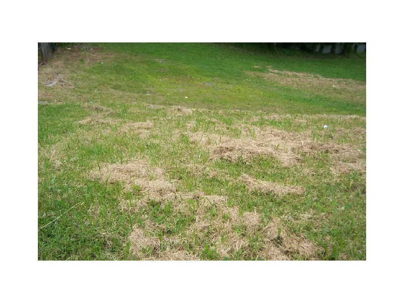 Bolton Point NSW 2283