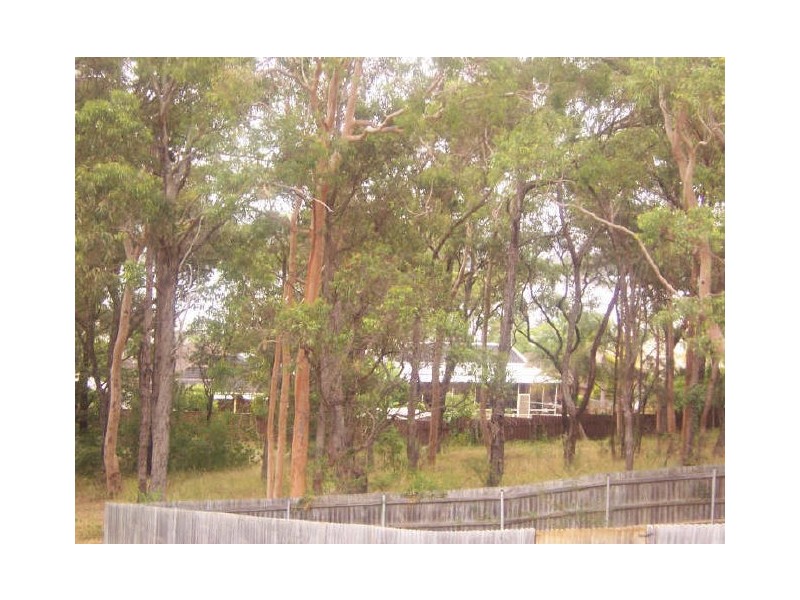 13 Koiyong Place, Bolton Point NSW 2283