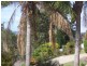 Fennell Bay NSW 2283