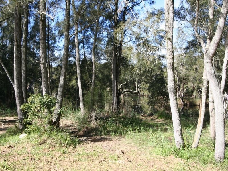 Morisset NSW 2264