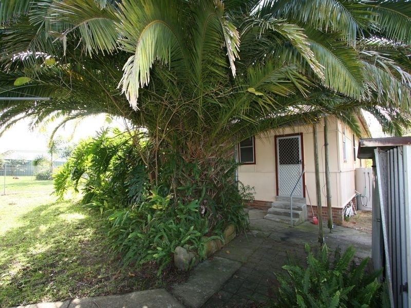 6 Shelley Street, Toronto NSW 2283