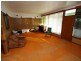 Coal Point NSW 2283
