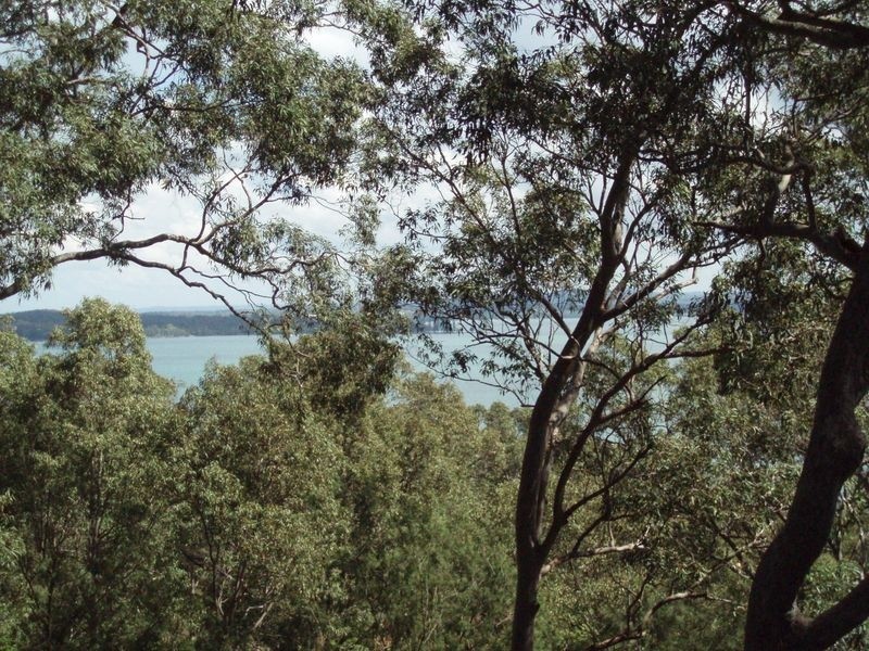 Wangi Wangi NSW 2267