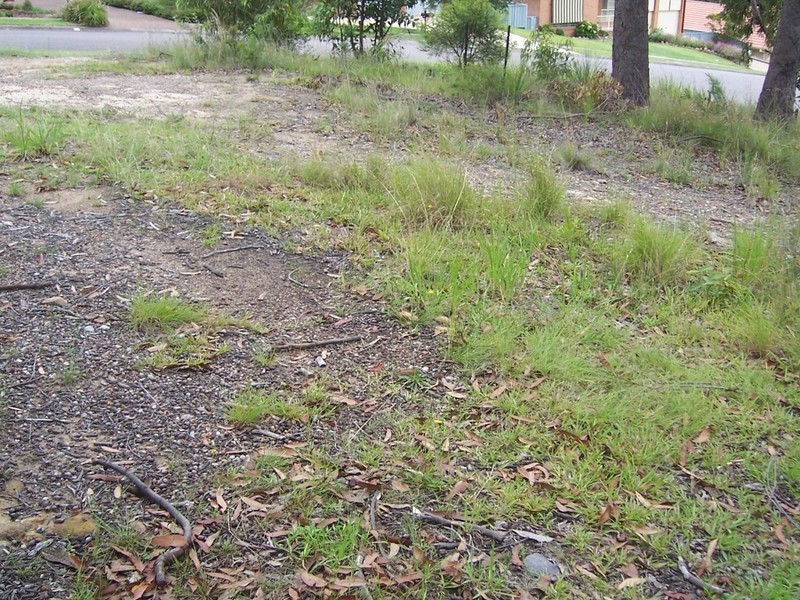 Toronto NSW 2283