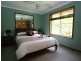 Coal Point NSW 2283