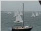 Coal Point NSW 2283