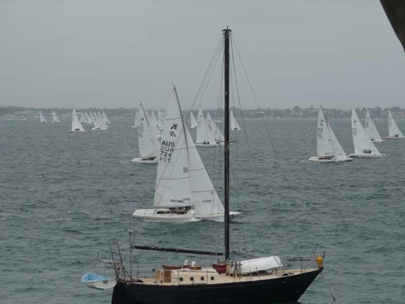 Coal Point NSW 2283