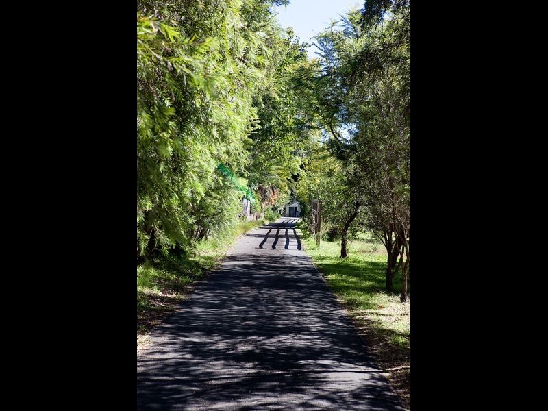 Toronto NSW 2283