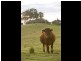 Quorrobolong NSW 2325