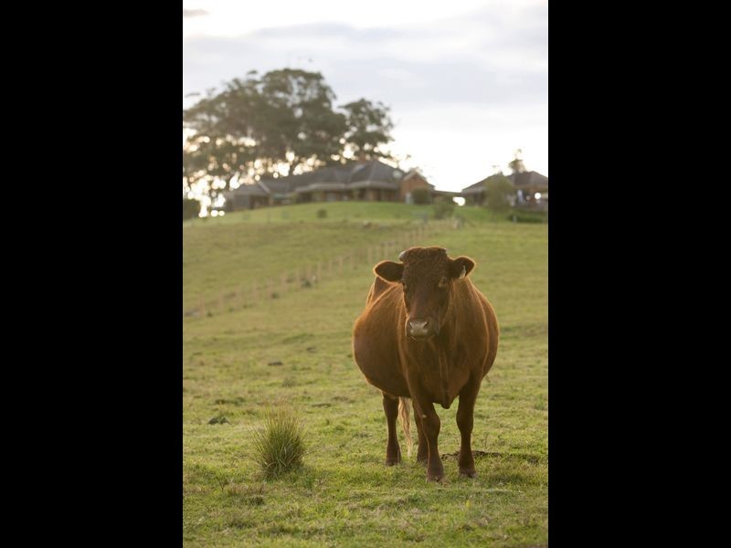 Quorrobolong NSW 2325