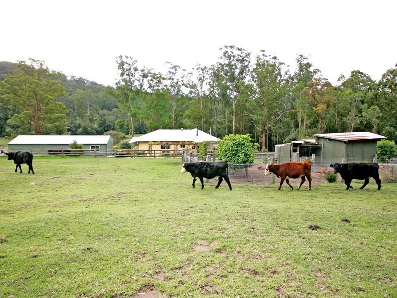 Martinsville NSW 2265