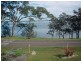 38 Wangi Point Road, Wangi Wangi NSW 2267