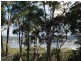 Coal Point NSW 2283