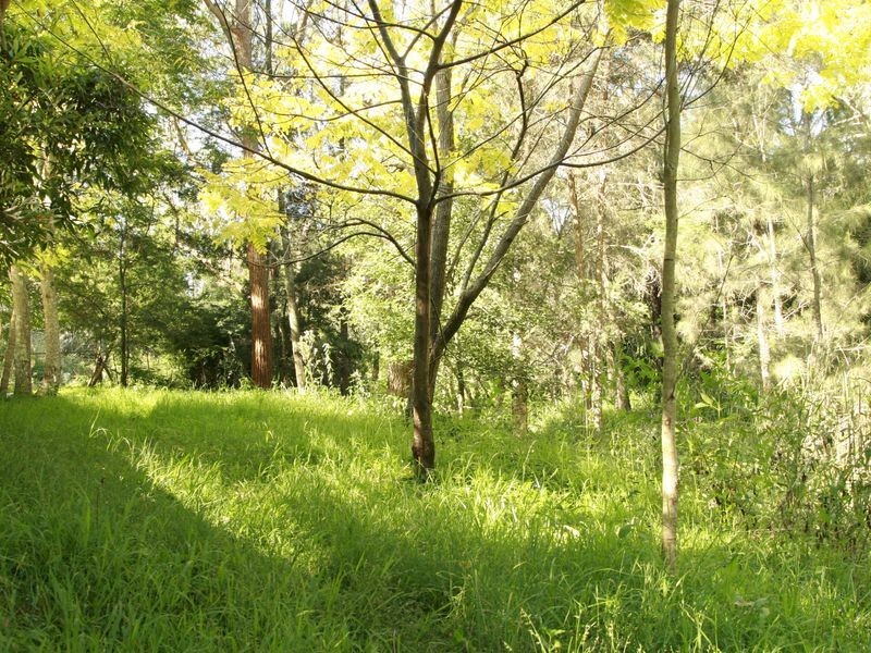 Cooranbong NSW 2265