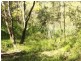 Cooranbong NSW 2265