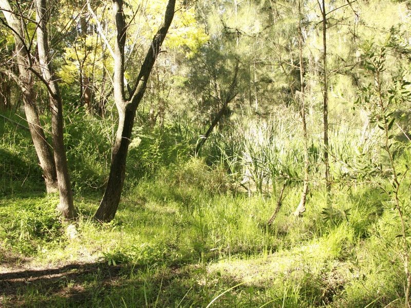 Cooranbong NSW 2265