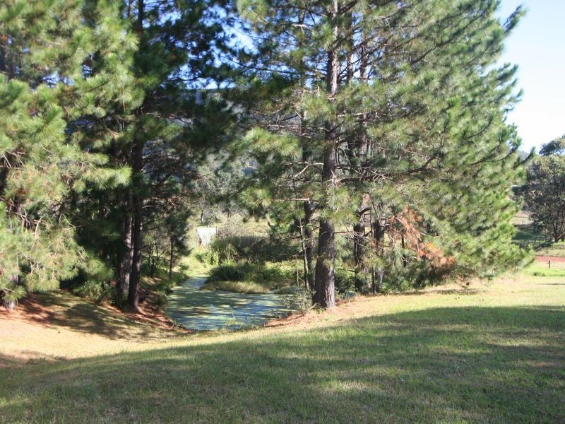 Brunkerville NSW 2323