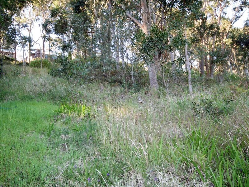 Wangi Wangi NSW 2267