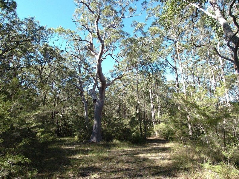 Freemans Waterhole NSW 2323