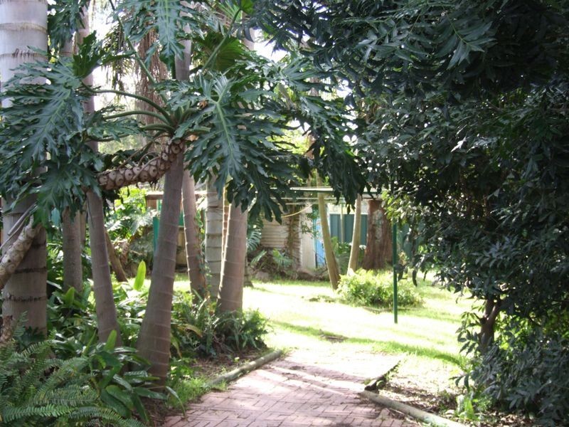 8 Sunderland Street, Toronto NSW 2283