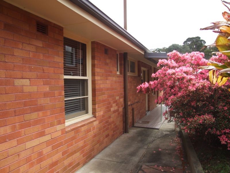 61 Lucas Street, Adamstown Heights NSW 2289