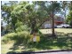 Blackalls Park NSW 2283