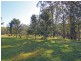 Brunkerville NSW 2323