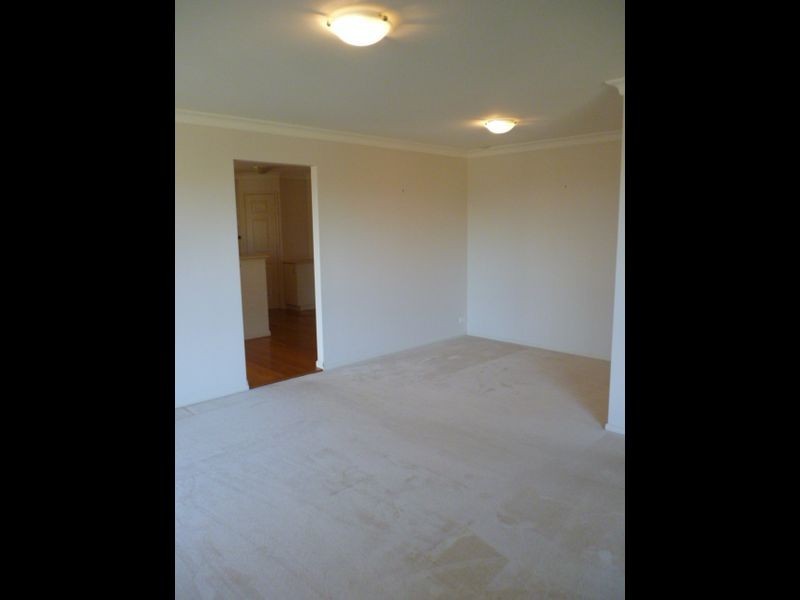 7 Grevillea Grove, Toronto NSW 2283