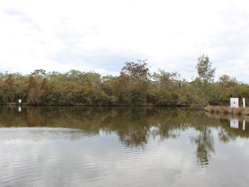 179 Birdwood Drive, Blue Haven NSW 2262