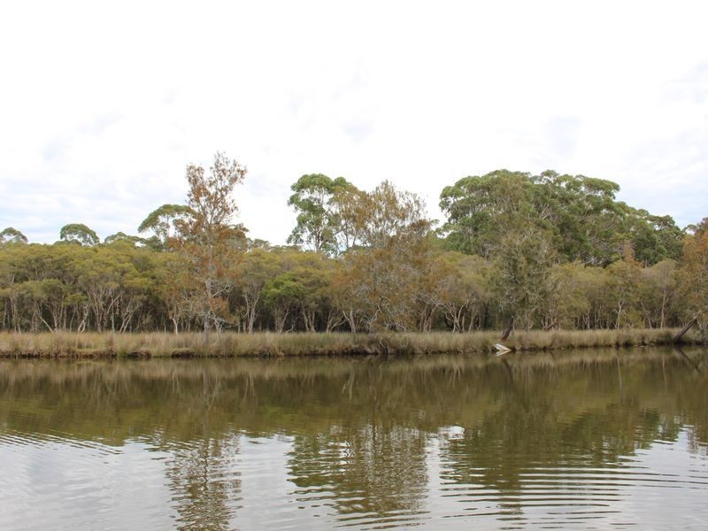 179 Birdwood Drive, Blue Haven NSW 2262