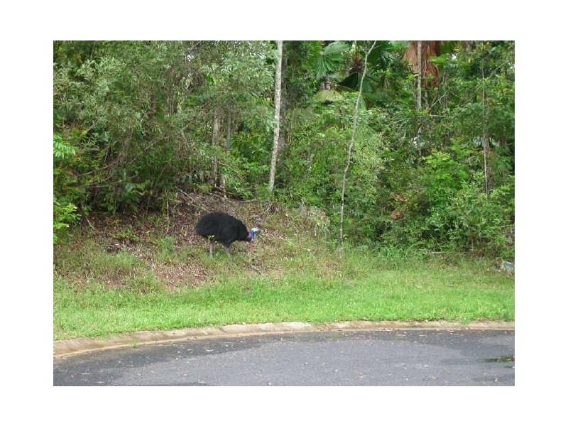 Lot 73 Greendale Court, Innisfail QLD 4860