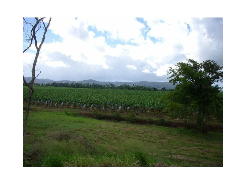 Lot 19 Bruce Highway, Innisfail QLD 4860
