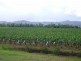 Lot 19 Bruce Highway, Innisfail QLD 4860