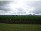 Lot 19 Bruce Highway, Innisfail QLD 4860