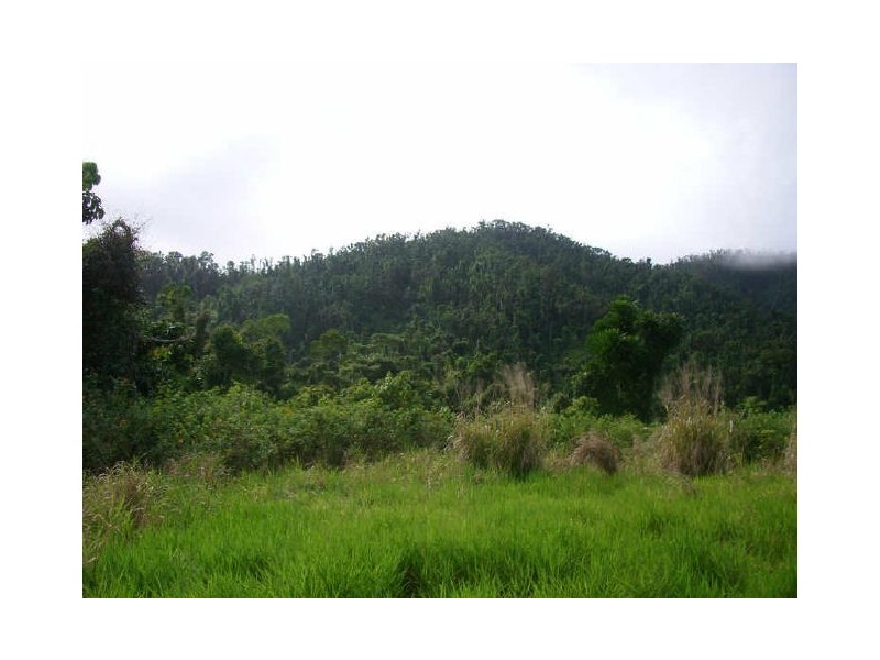 Lot 178 Woopen Creek Road, Innisfail QLD 4860