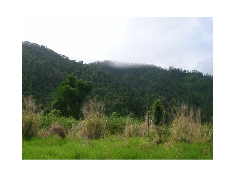 Lot 178 Woopen Creek Road, Innisfail QLD 4860
