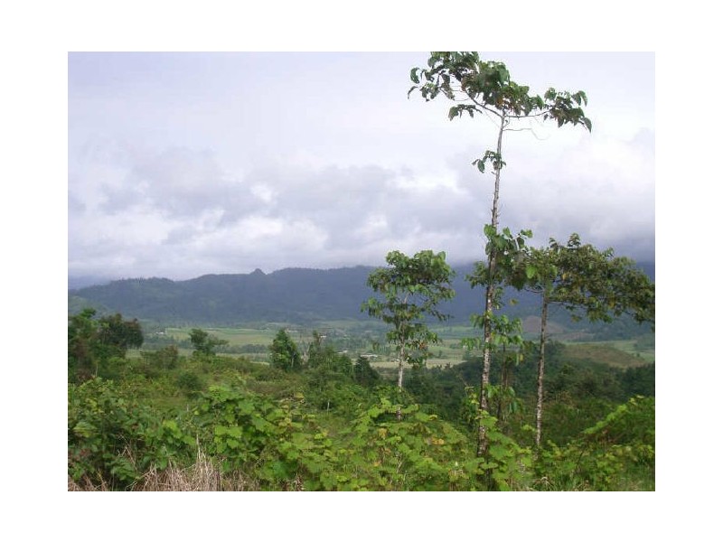 Lot 178 Woopen Creek Road, Innisfail QLD 4860